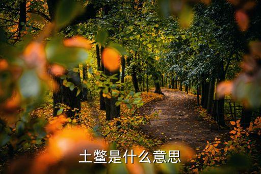 地鱉，地鱉介紹詳細一點最好有照片