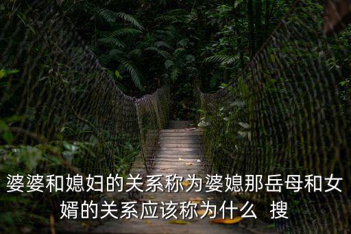 婆婆和媳婦的關系稱為婆媳那岳母和女婿的關系應該稱為什么  搜