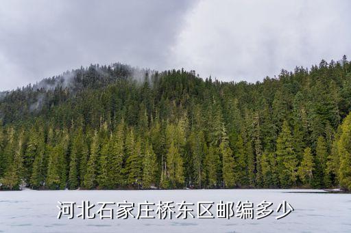 石家莊市橋東區，石家莊橋東區屬于哪個區