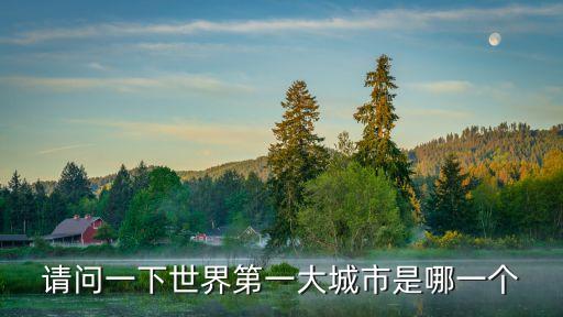 請問一下世界第一大城市是哪一個