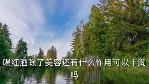 紅酒豐胸，紅酒可以豐胸嗎