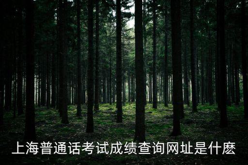 上海普通話考試成績查詢網址是什麼