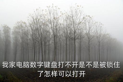 我家電腦數(shù)字鍵盤打不開是不是被鎖住了怎樣可以打開