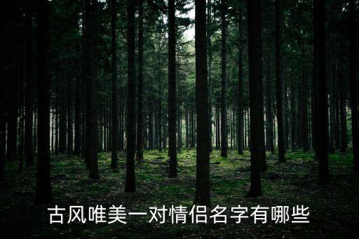情侶id古風，求一情侶網名要古風古風