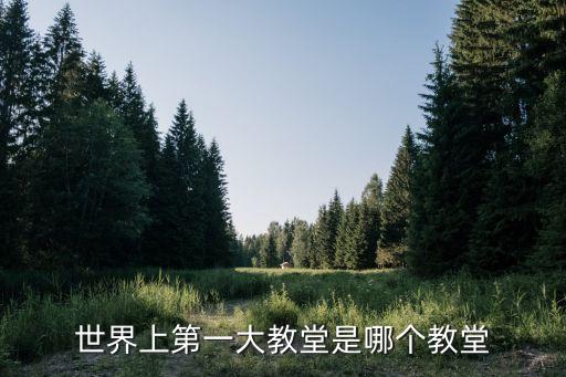 最大的教堂，世界上第一大教堂是哪個教堂