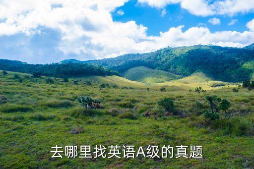 英語a級真題，誰那有歷年英語A級考試的全真試題及答案急