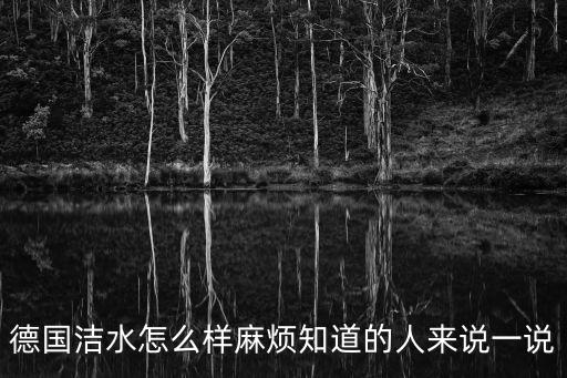 德國(guó)潔水怎么樣麻煩知道的人來(lái)說(shuō)一說(shuō)
