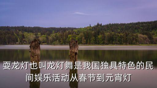耍龍燈也叫龍燈舞是我國獨具特色的民間娛樂活動從春節到元宵燈
