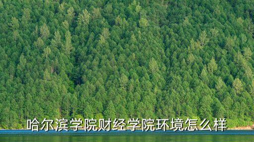 哈爾濱財經學院，黑龍江財經學院在什么位置