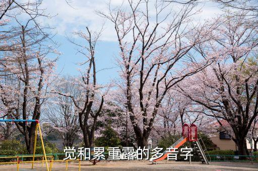 覺多音字，覺的多音字