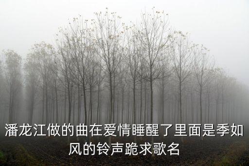 潘龍江做的曲在愛情睡醒了里面是季如風的鈴聲跪求歌名