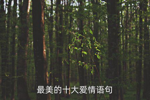 最美的十大愛情語句