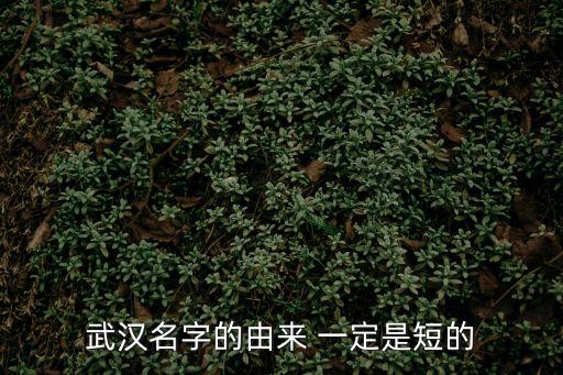 武漢名字的由來 一定是短的