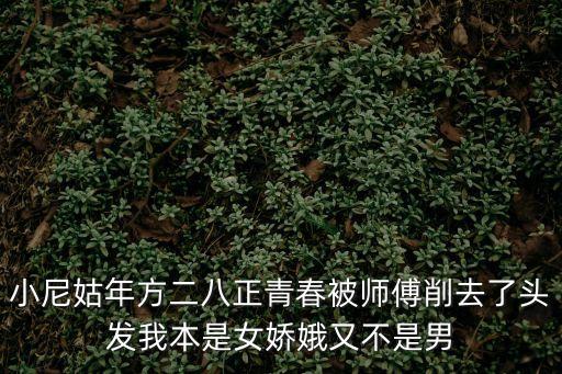 小尼姑年方二八正青春被師傅削去了頭發(fā)我本是女嬌娥又不是男