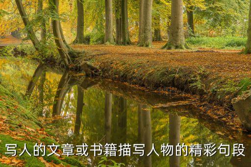 寫人的文章或書籍描寫人物的精彩句段