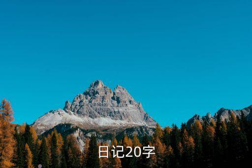 二年級(jí)日記20字，日記20字急急急
