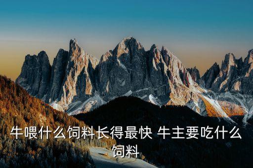 牛喂什么飼料長得最快 牛主要吃什么飼料