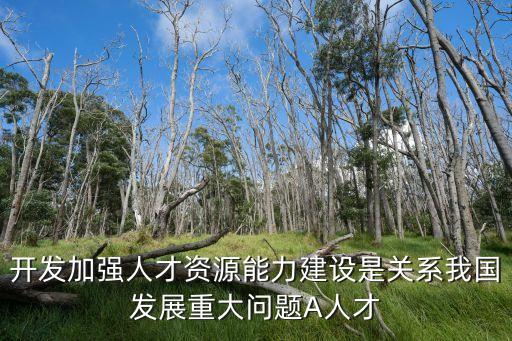 重大問題，開發加強人才資源能力建設是關系我國發展重大問題A人才