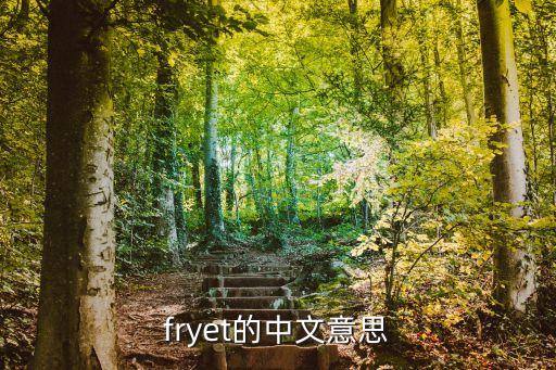 fryet的中文意思