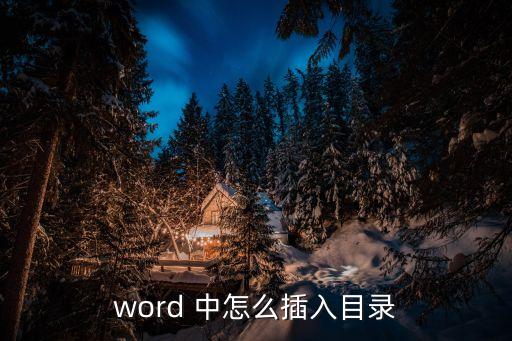怎么插入目錄，word 中怎么插入目錄