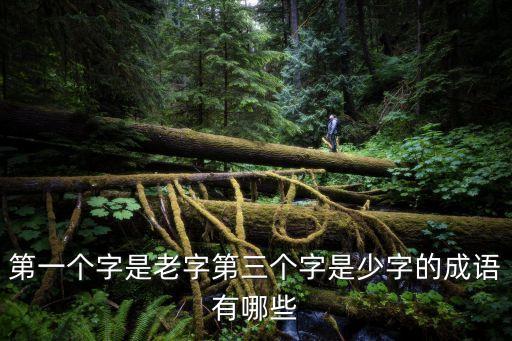瑤花琪樹，第一個字是老字第三個字是少字的成語有哪些