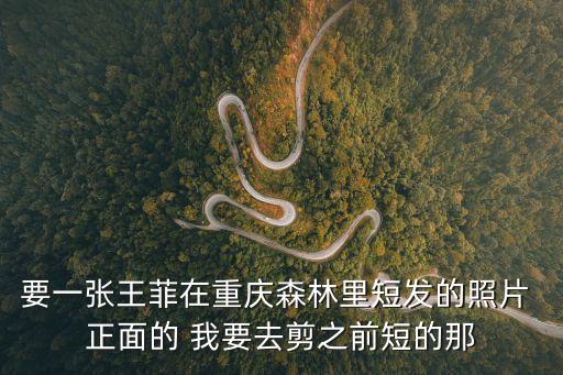 要一張王菲在重慶森林里短發的照片 正面的 我要去剪之前短的那