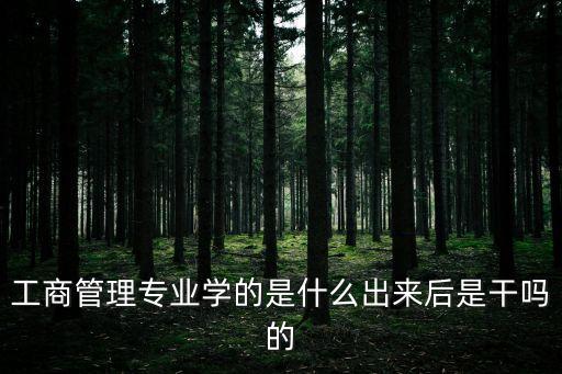 工商管理專業(yè)學(xué)的是什么出來(lái)后是干嗎的