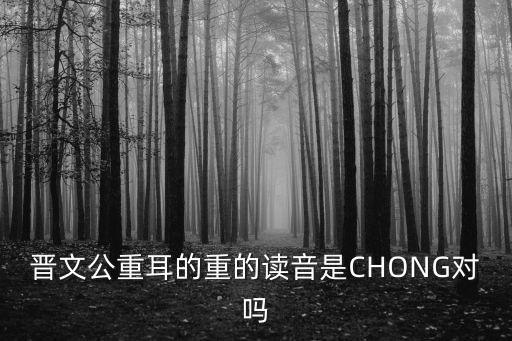 晉文公重耳的重的讀音是CHONG對(duì)嗎