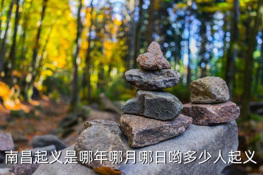南昌起義簡介，南昌起義的資料