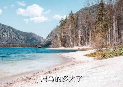 屬馬多大年齡，屬馬的多少歲