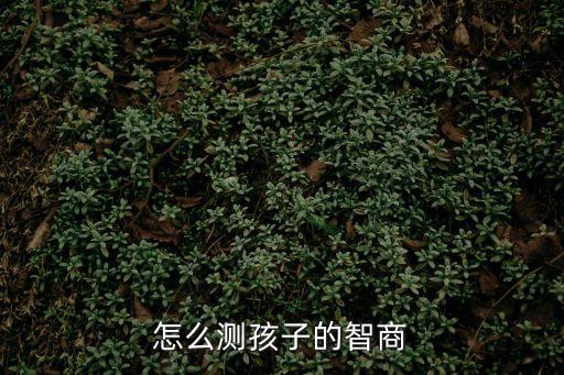 孩子智商怎么測，怎么測孩子的智商