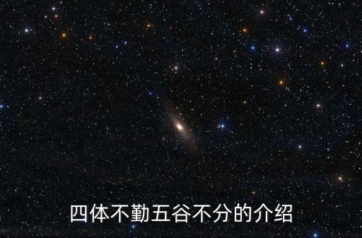 四體不勤五谷不分的介紹