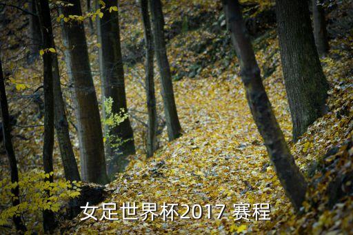 2017世界杯，女足世界杯2017 賽程