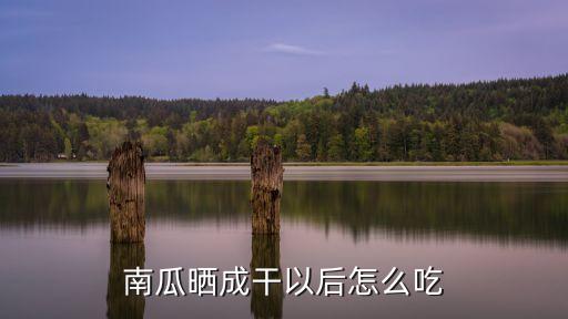 南瓜干怎么做好吃，我曬了一些南瓜干不知道怎樣吃