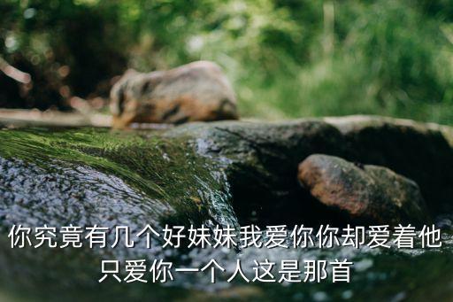 你究竟有幾個好妹妹歌詞，多余的解釋 歌詞