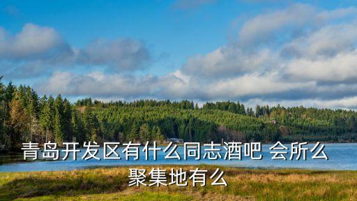 青島開發區有什么同志酒吧 會所么 聚集地有么