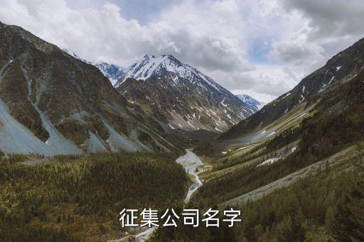 公司名稱，跪求好聽意義深遠(yuǎn)的公司名稱