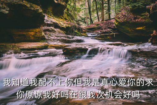 我知道我配不上你但我是真心愛你的求你原諒我好嗎在跟我次機會好嗎
