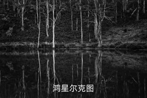 鴻星爾克圖