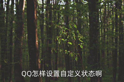 QQ怎樣設(shè)置自定義狀態(tài)啊