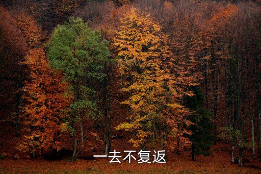 崔顥的詩，崔顥為岳陽樓寫的詩叫什么
