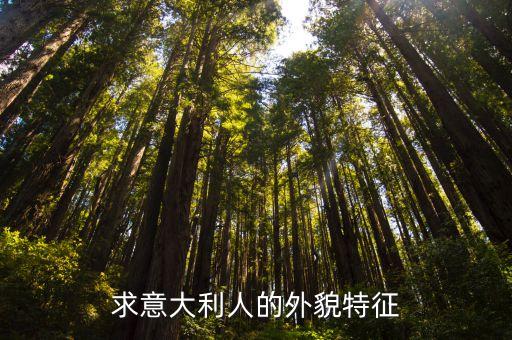意大利男人，意大利男人在你們心目中的印象