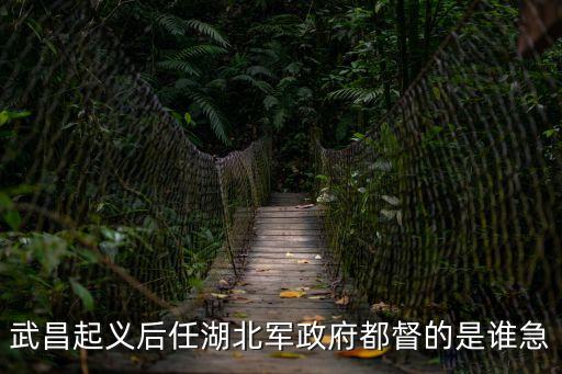 湖北軍政府，武昌起義后任湖北軍政府都督的是誰急