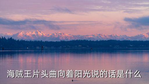 海賊王片頭曲向著陽光說的話是什么