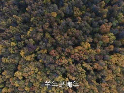 羊年是哪一年，1984年到2000年哪幾年是羊年