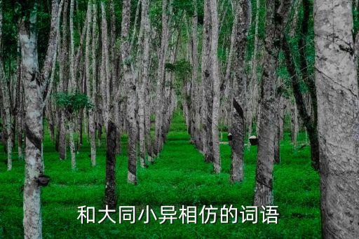 大同小異的近義詞，大同小異的同義詞是什么