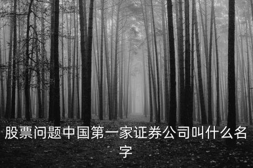 股票問題中國第一家證券公司叫什么名字