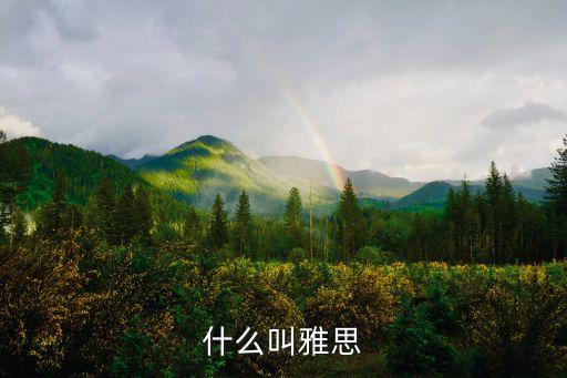 雅思什么意思，什么是雅思