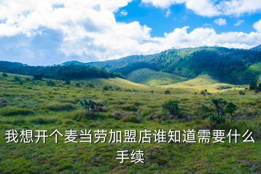 麥當勞加盟條件，我想開個麥當勞加盟店誰知道需要什么手續
