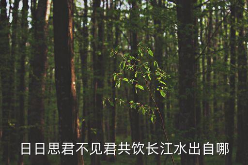 共飲長江水，日日思君不見君共飲長江水出自哪